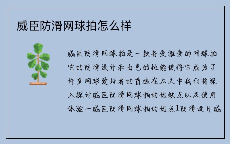 威臣防滑网球拍怎么样